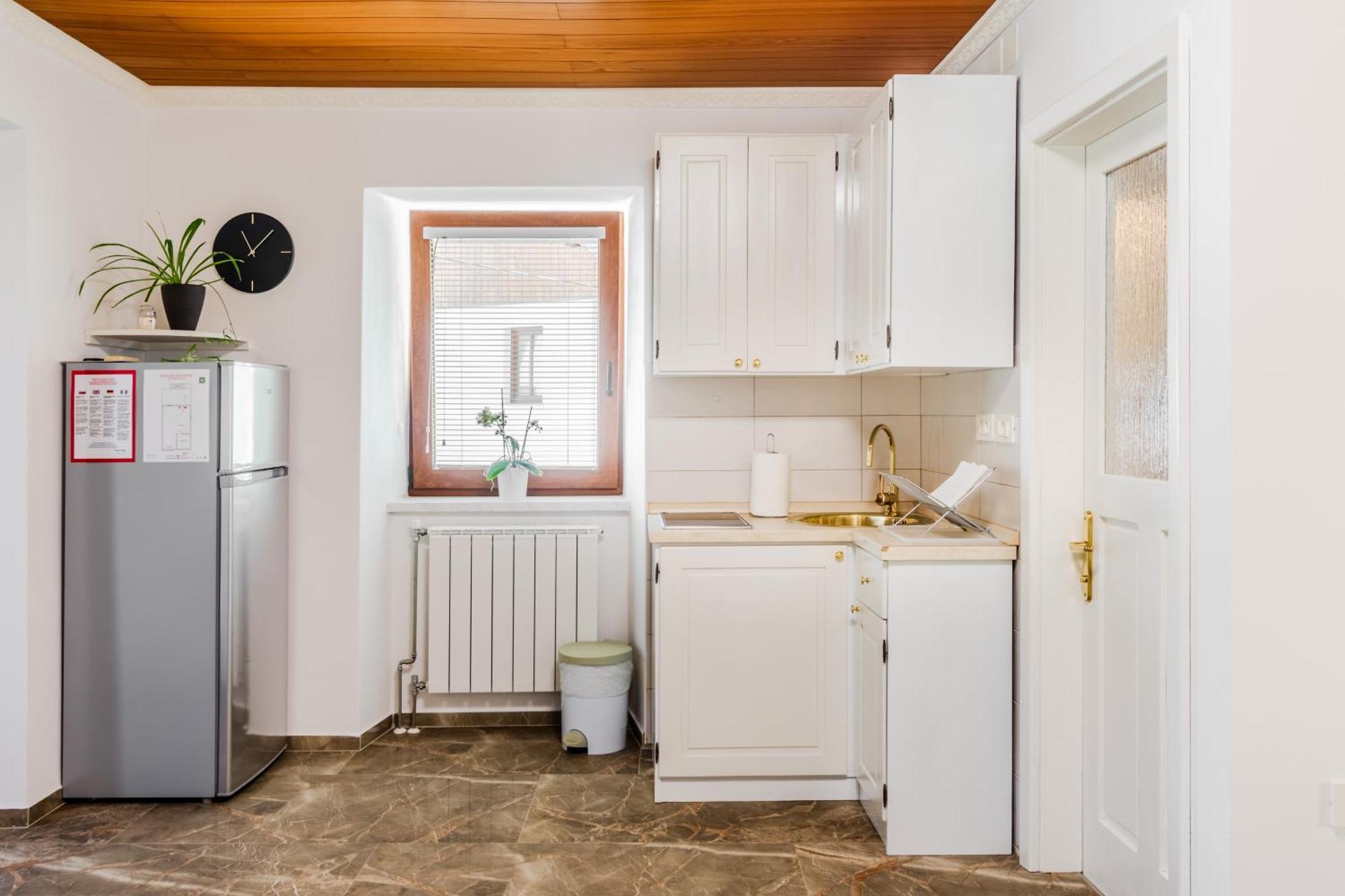 Apartmaji Mouse Apartment Bovec