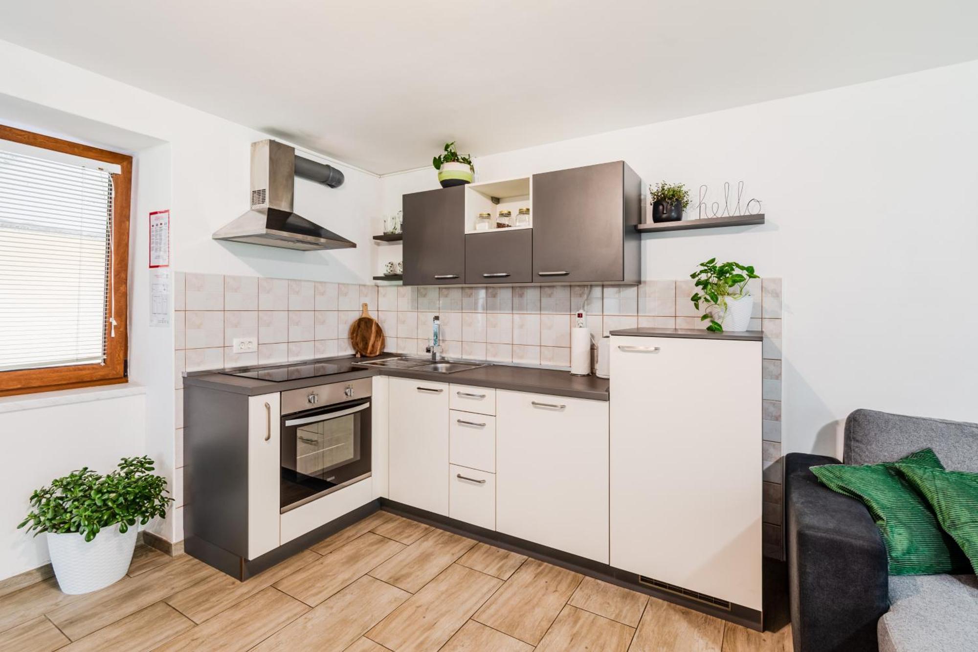 Apartmaji Mouse Bovec